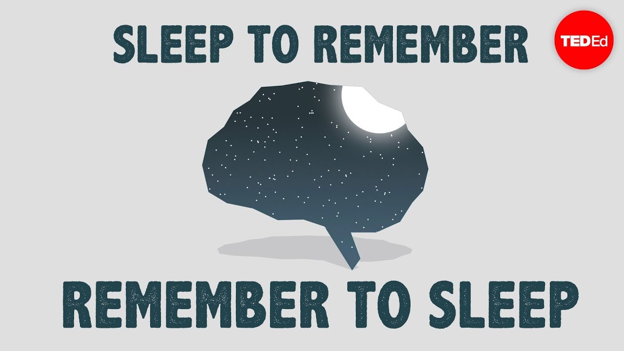 Importance of Sleep for Students